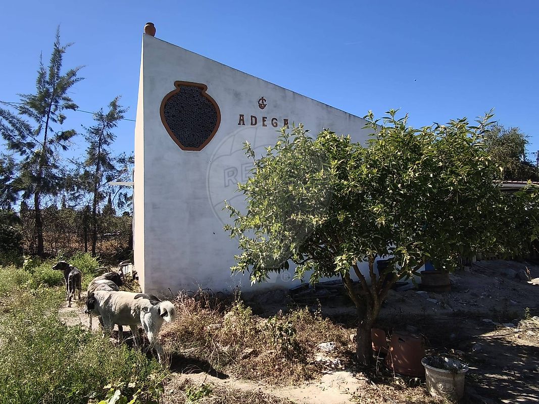 Industrial - Vila de Frades, Vidigueira, Beja