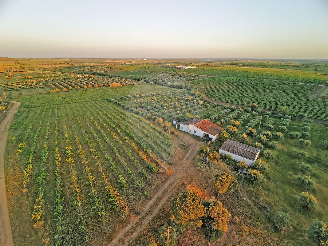 Quinta - Vidigueira, Vidigueira, Beja