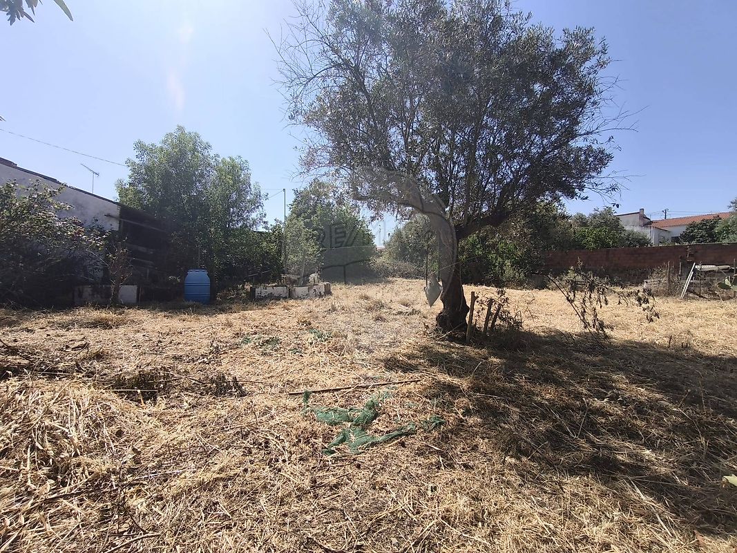 Moradia T3 à venda em Vila de Frades, Vidigueira — foto 22