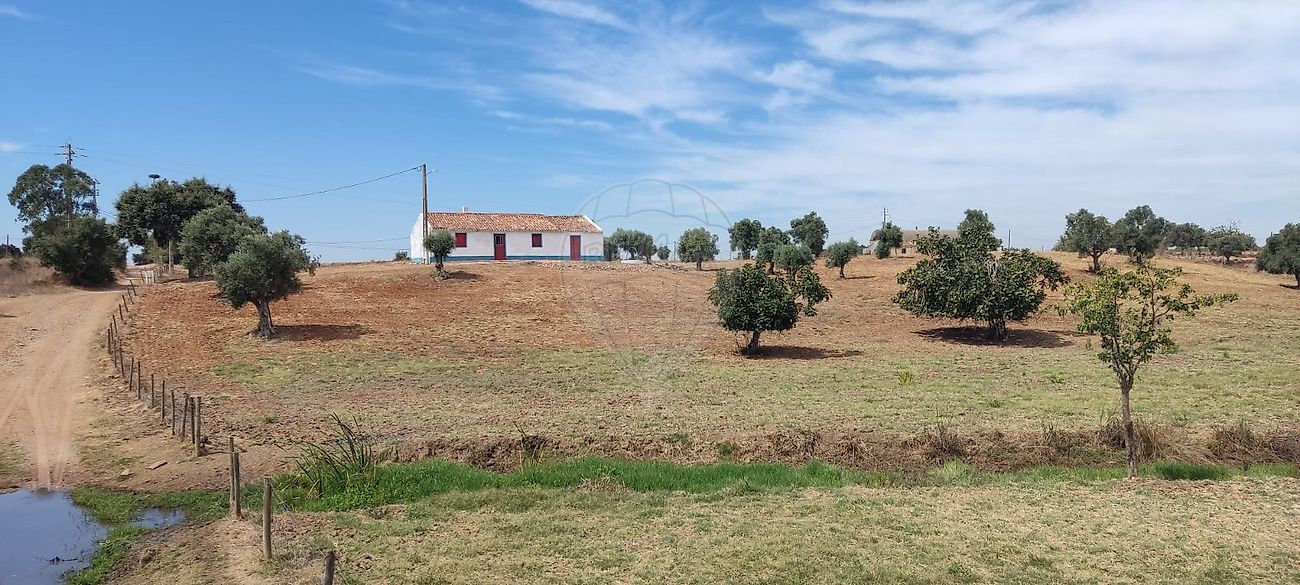 Quinta - Ferreira do Alentejo e Canhestros, Ferreira do Alentejo, Beja