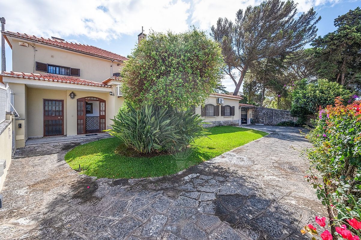 listing 124991017-62 picture-0