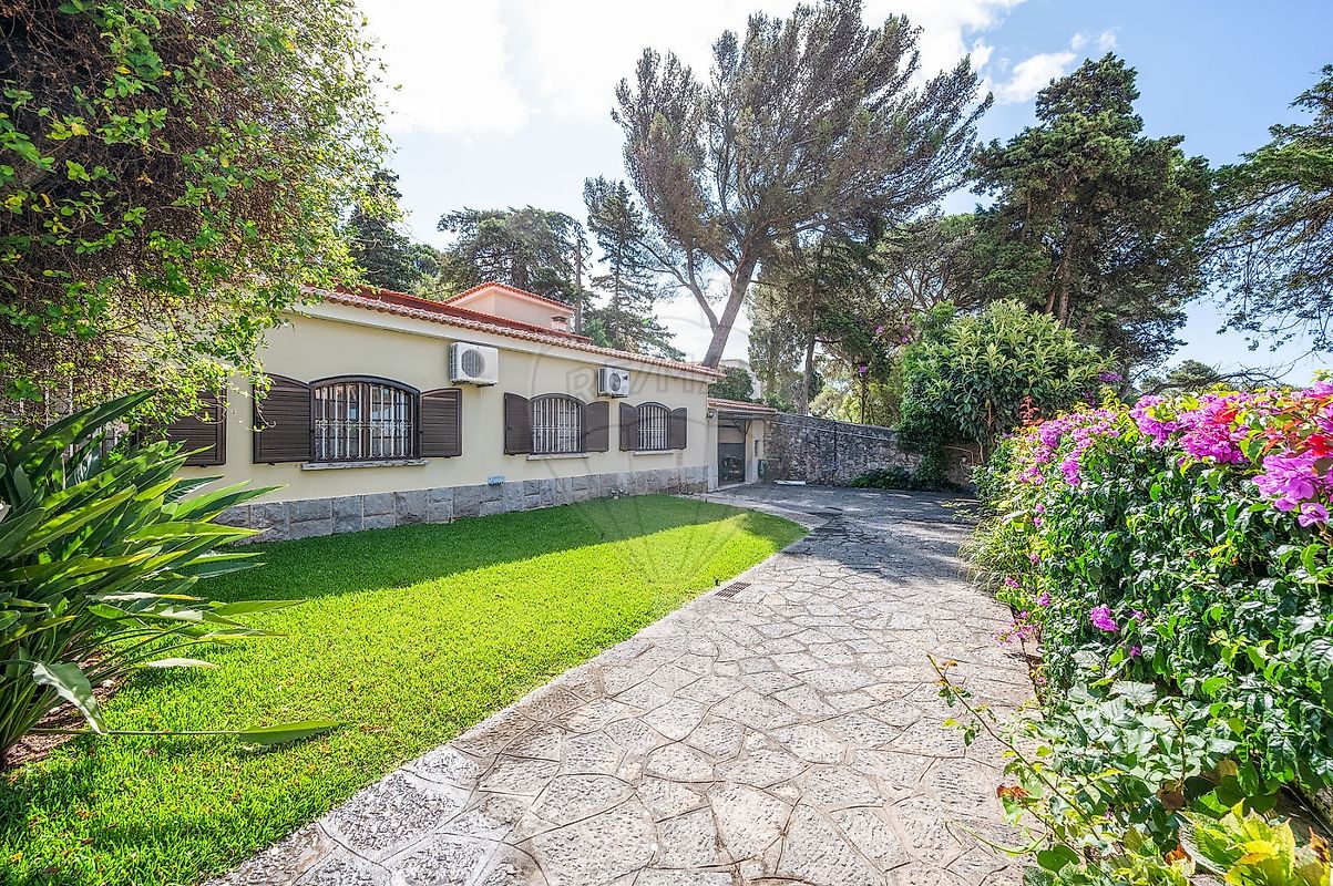 listing 124991017-62 picture-0