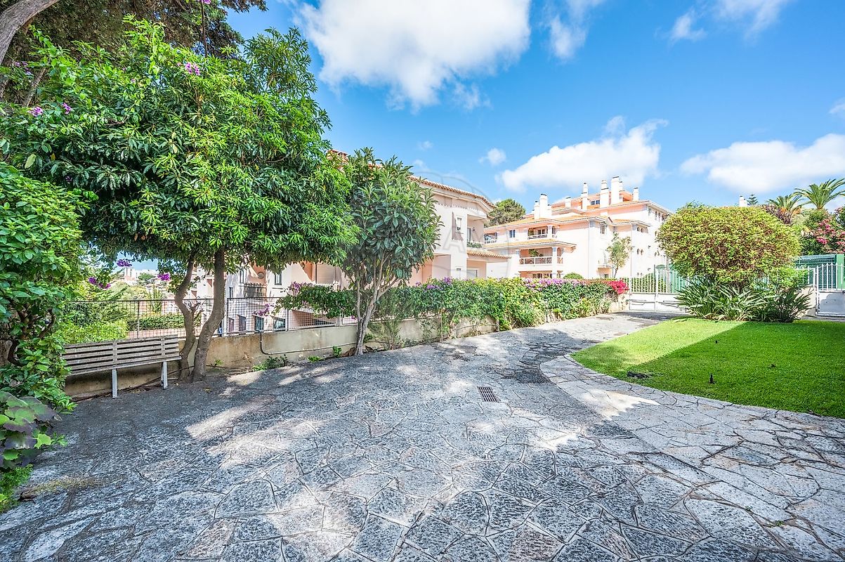listing 124991017-62 picture-0