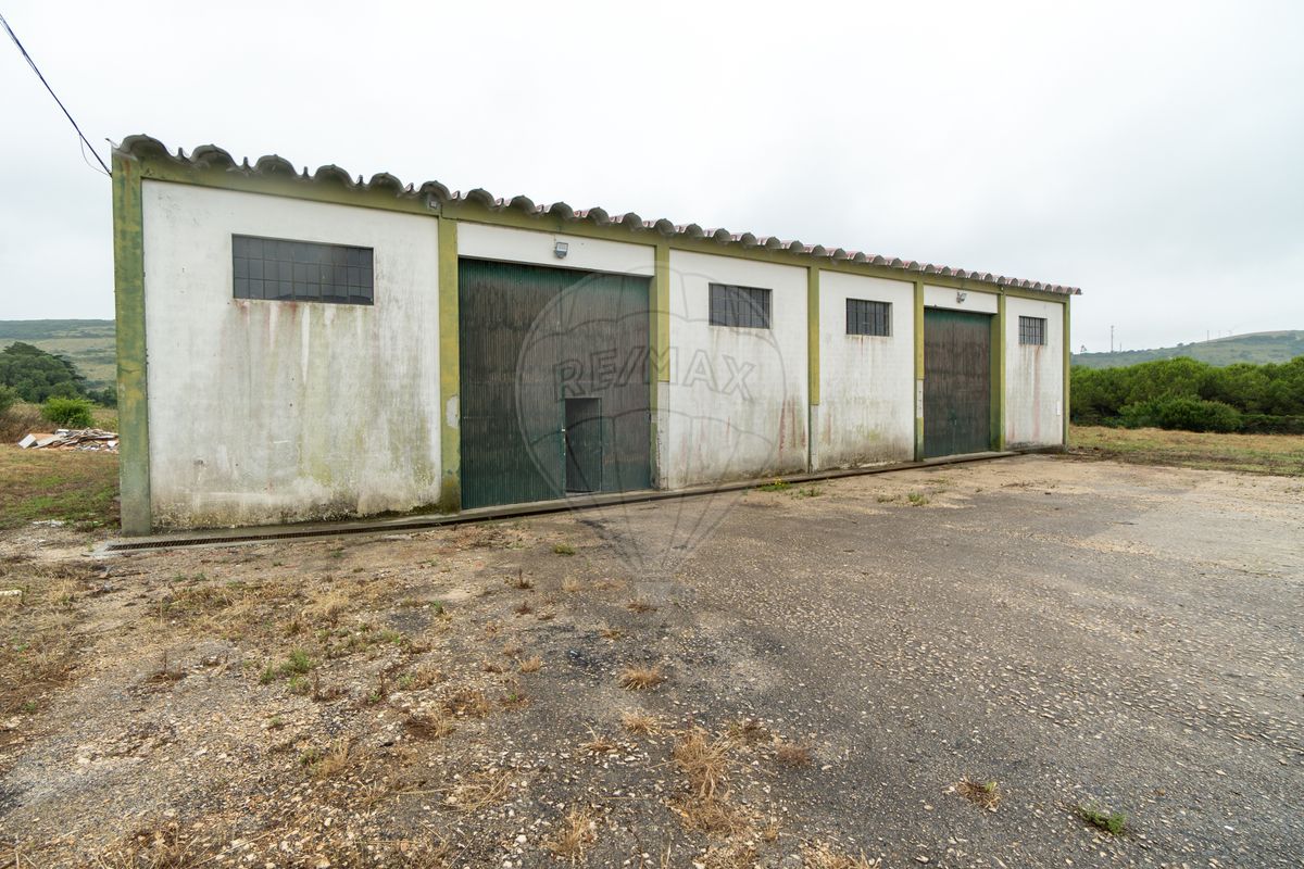 listing-picture-0