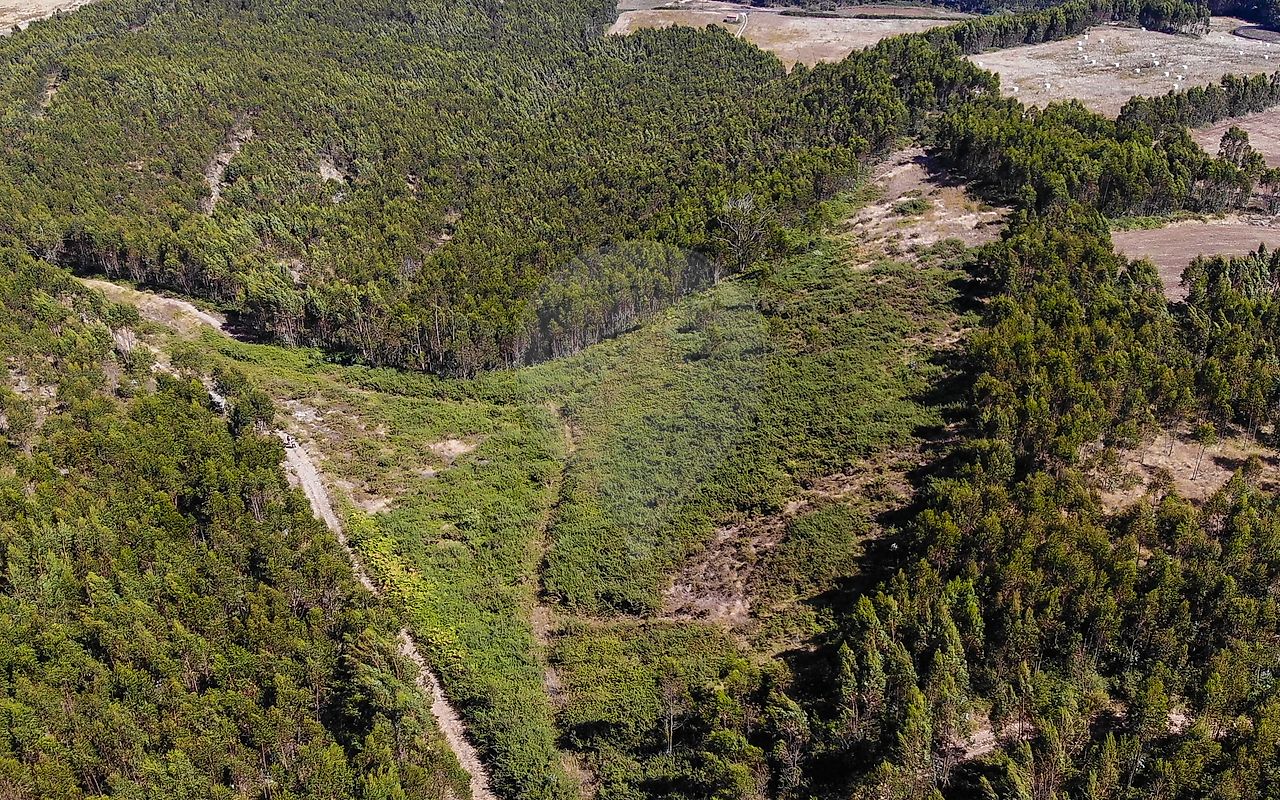 Terreno  à venda em Sobral de Monte Agraço