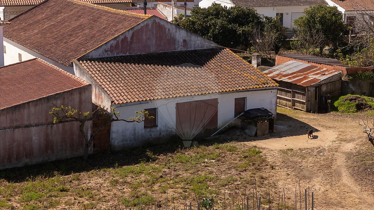 listing-picture-0