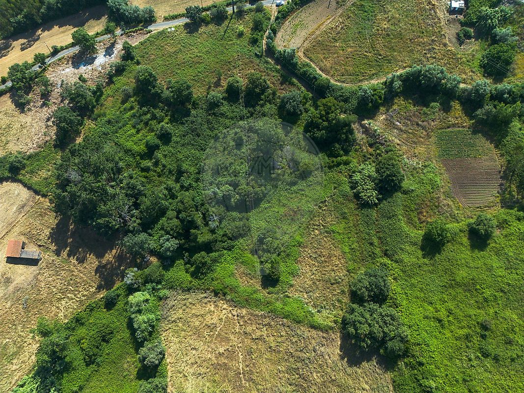 Terreno  para venda