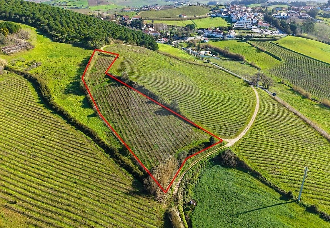 Terreno à venda em Torres Vedras