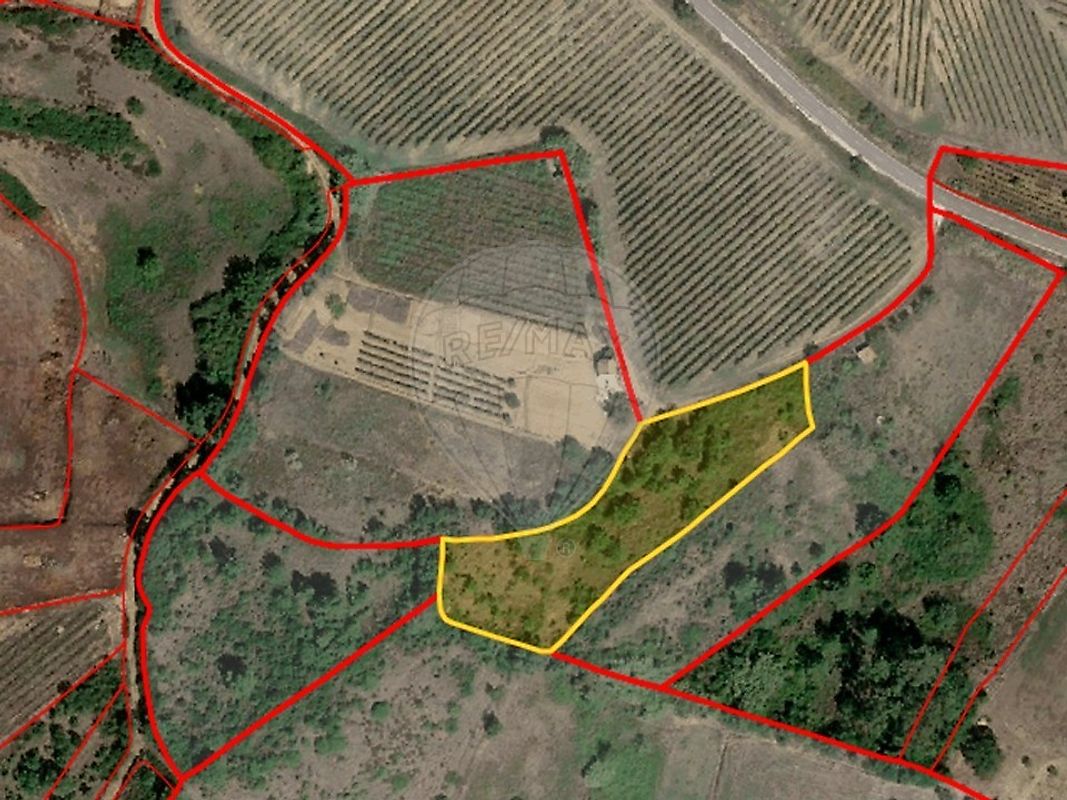 Terreno - Dois Portos e Runa, Torres Vedras, Lisboa
