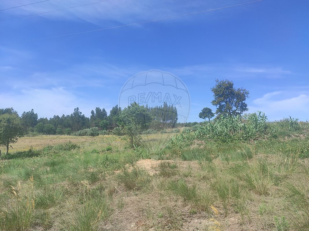 Terreno  à venda em Azambuja