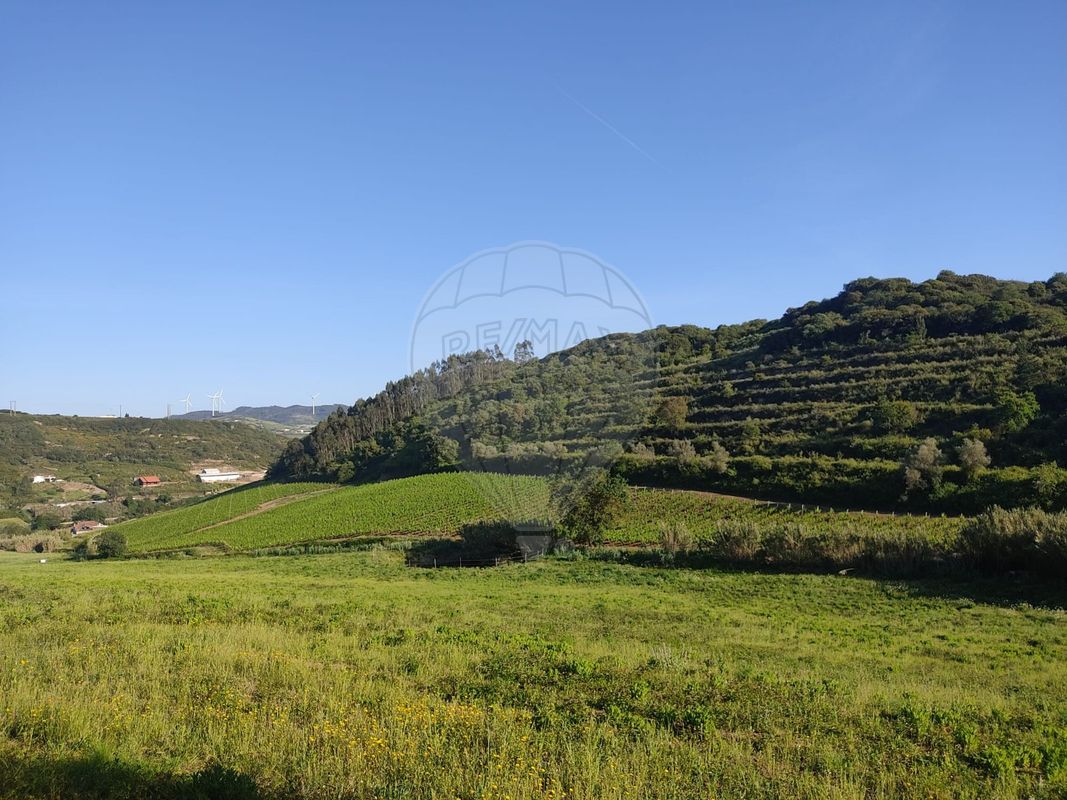 listing-picture-0