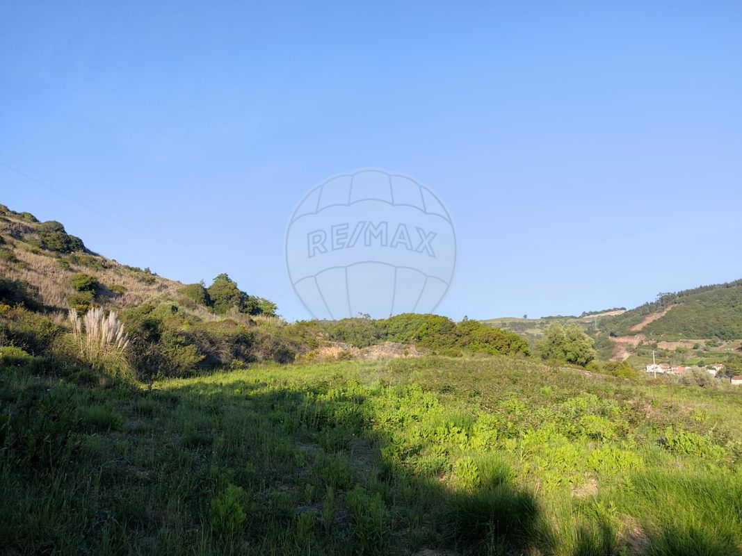 listing-picture-0