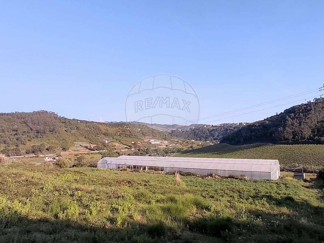 listing-picture-0