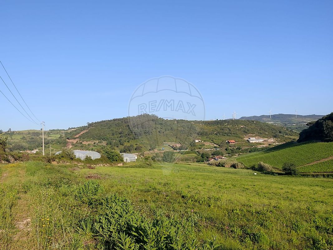 listing-picture-0