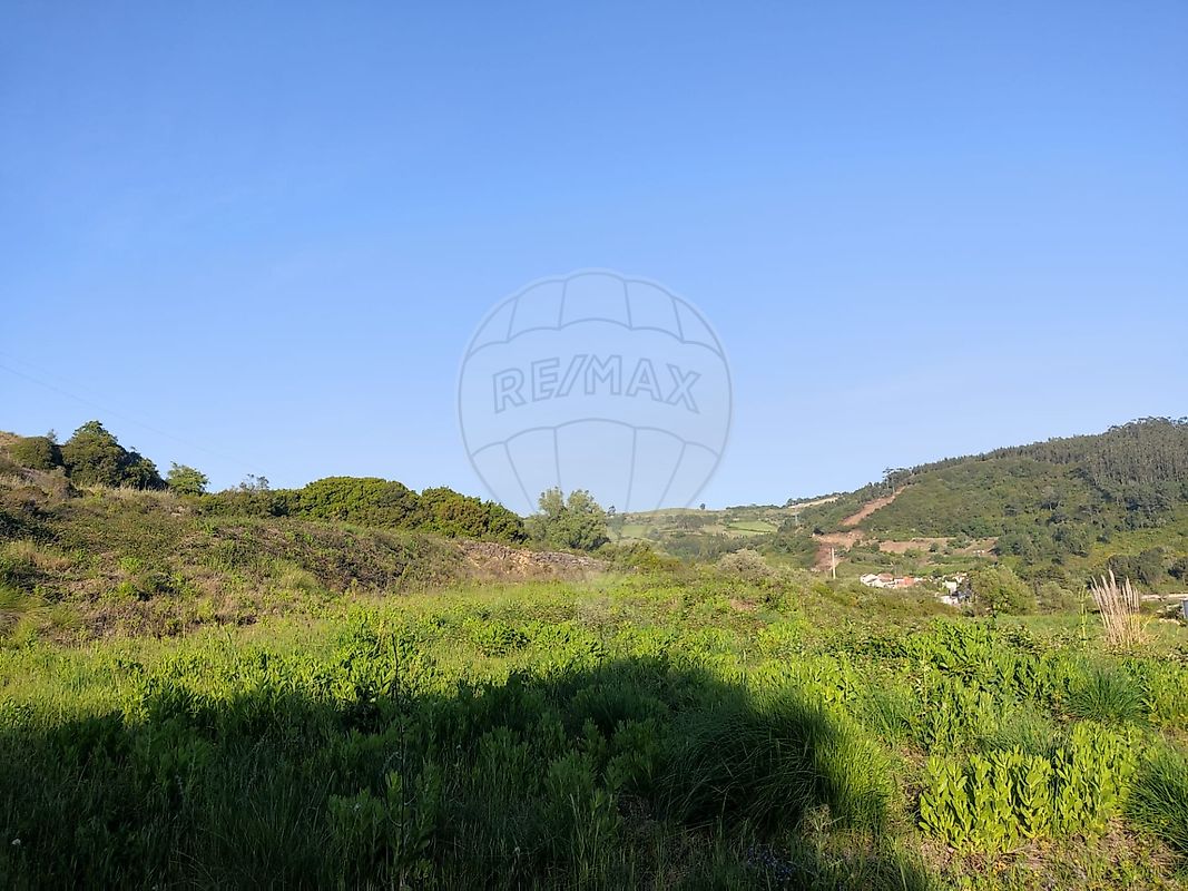 listing-picture-0