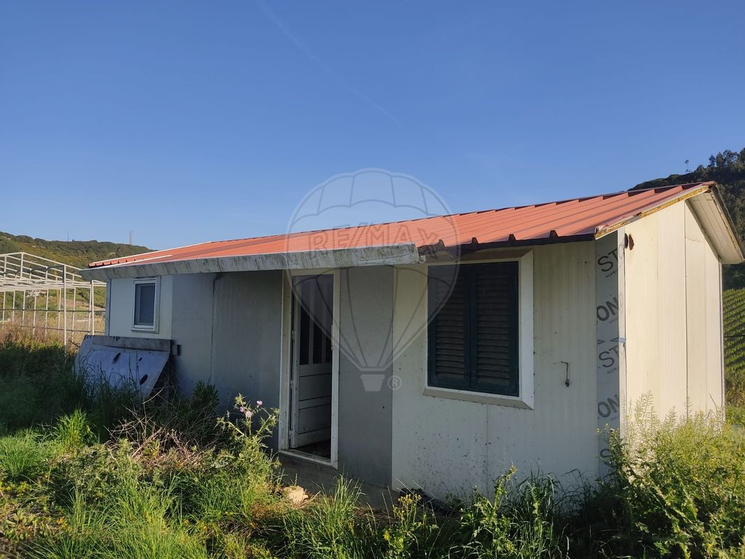listing-picture-0