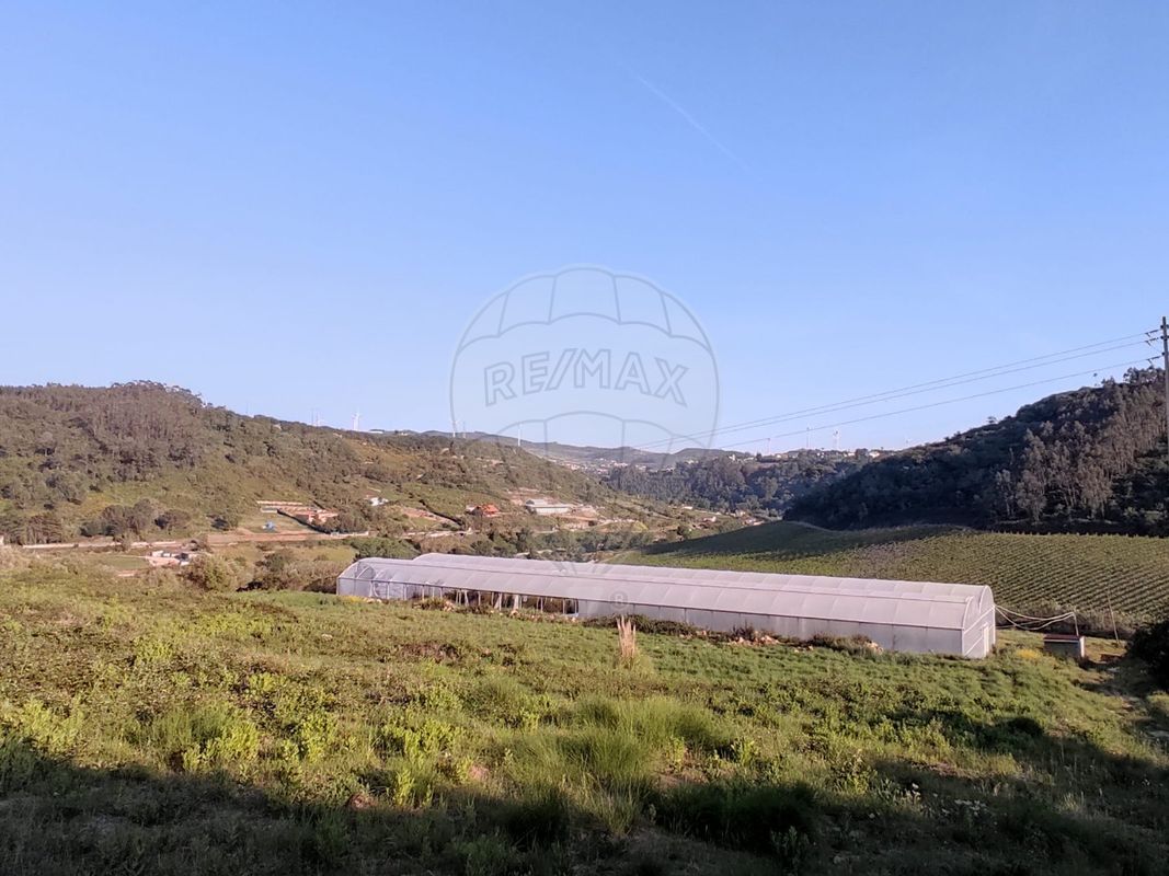 listing-picture-0