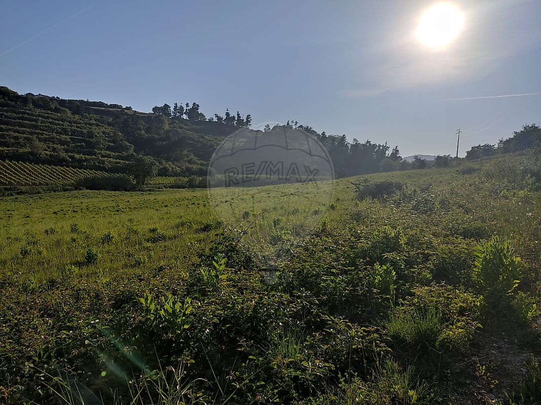 listing-picture-0