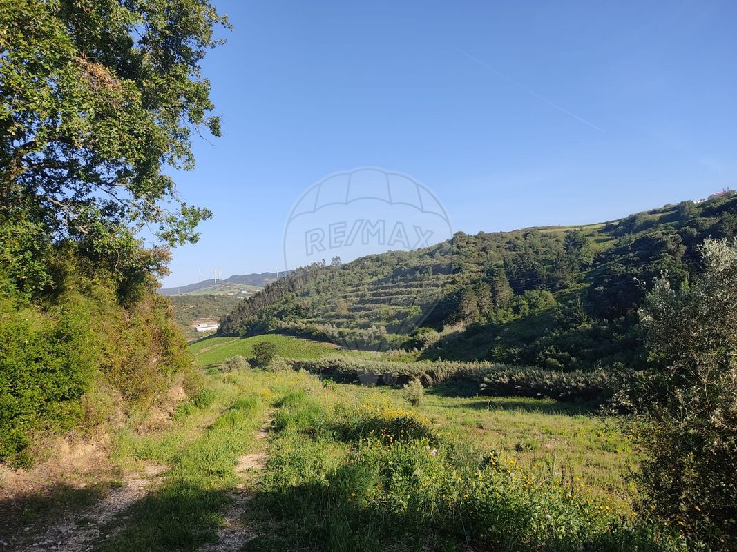 listing-picture-0