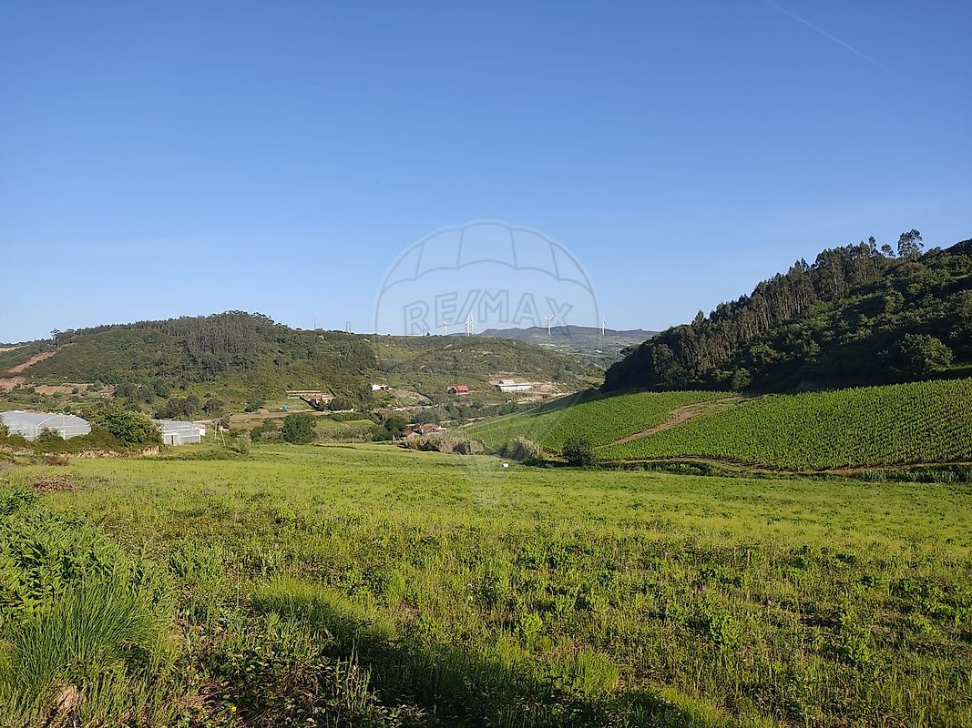 listing-picture-0