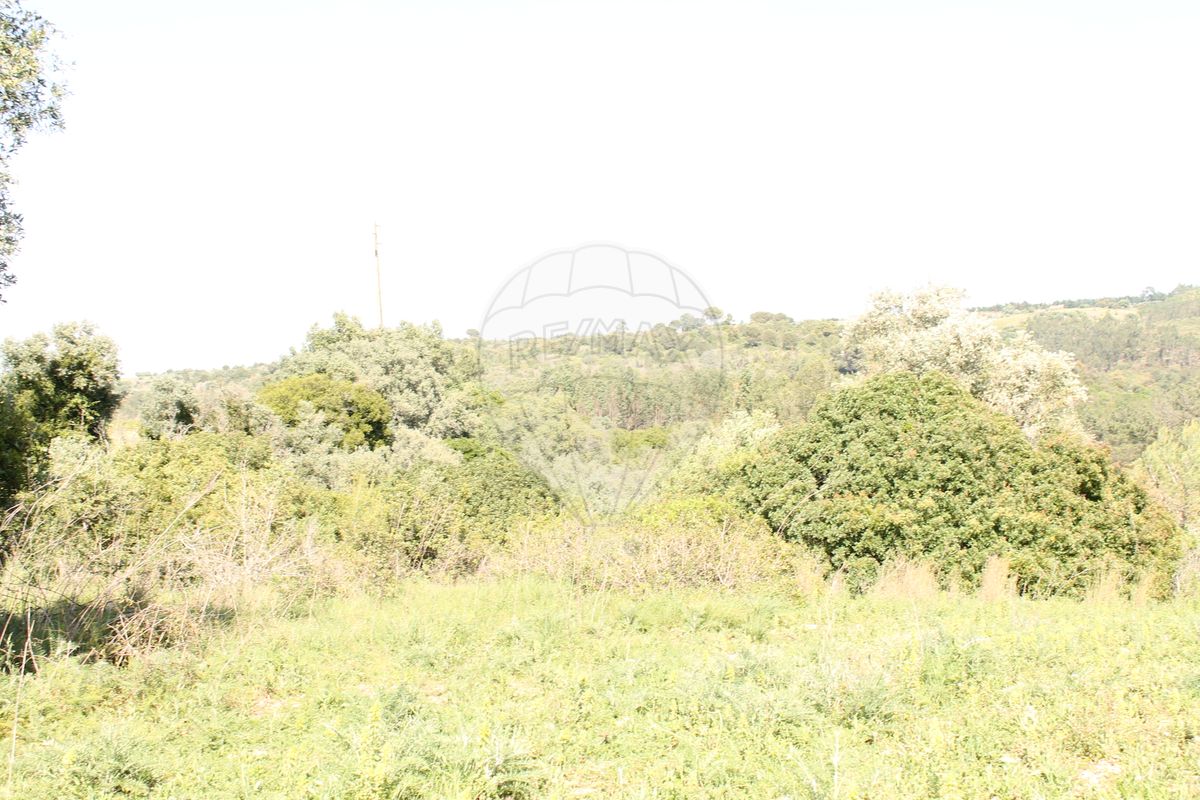 Terreno para venda