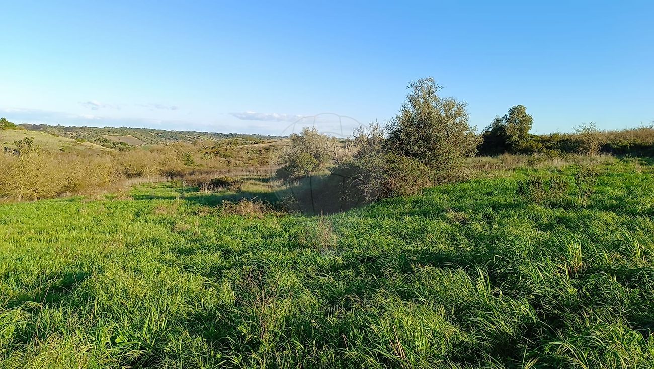 Terreno  à venda em Azambuja