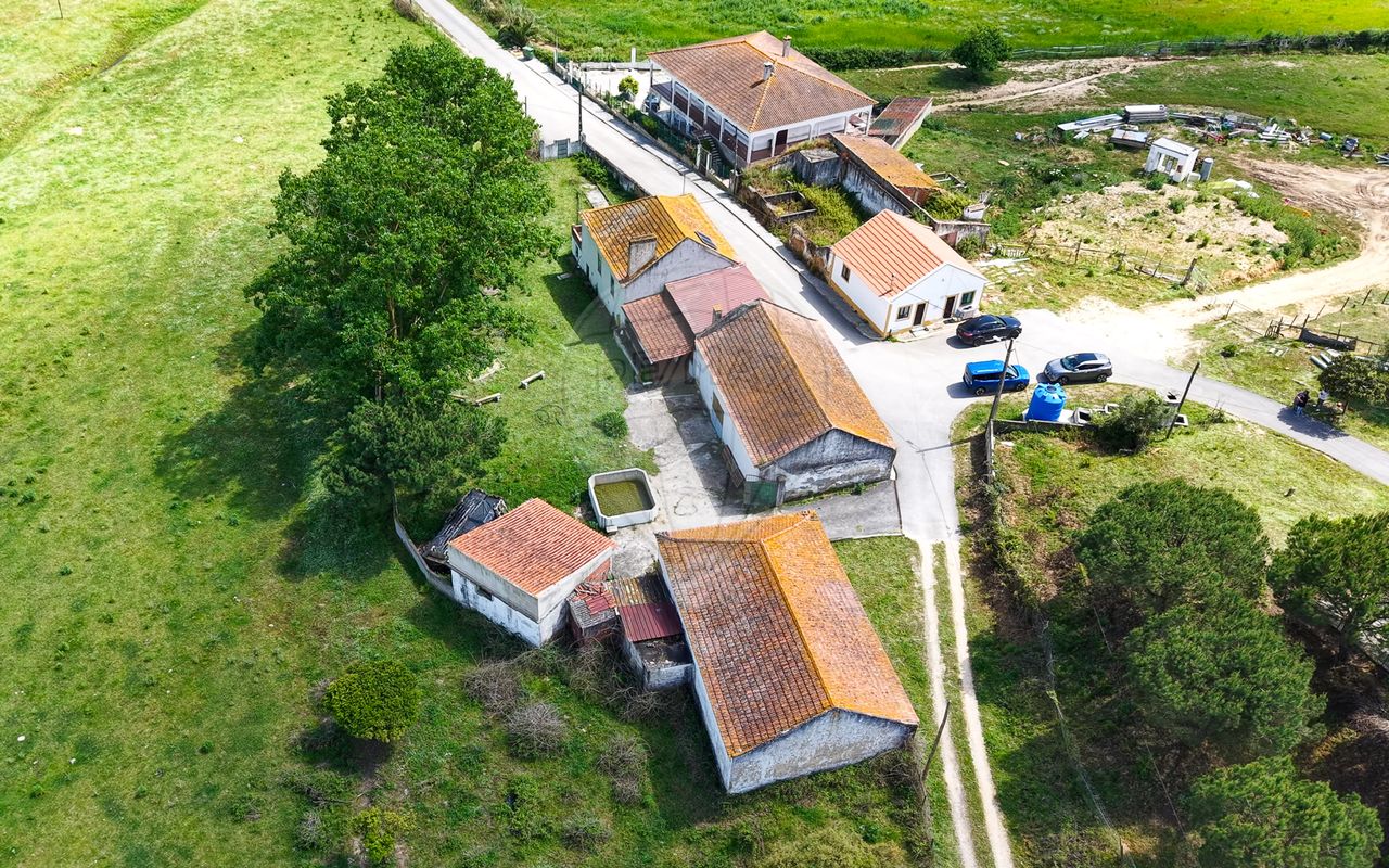 listing-picture-0