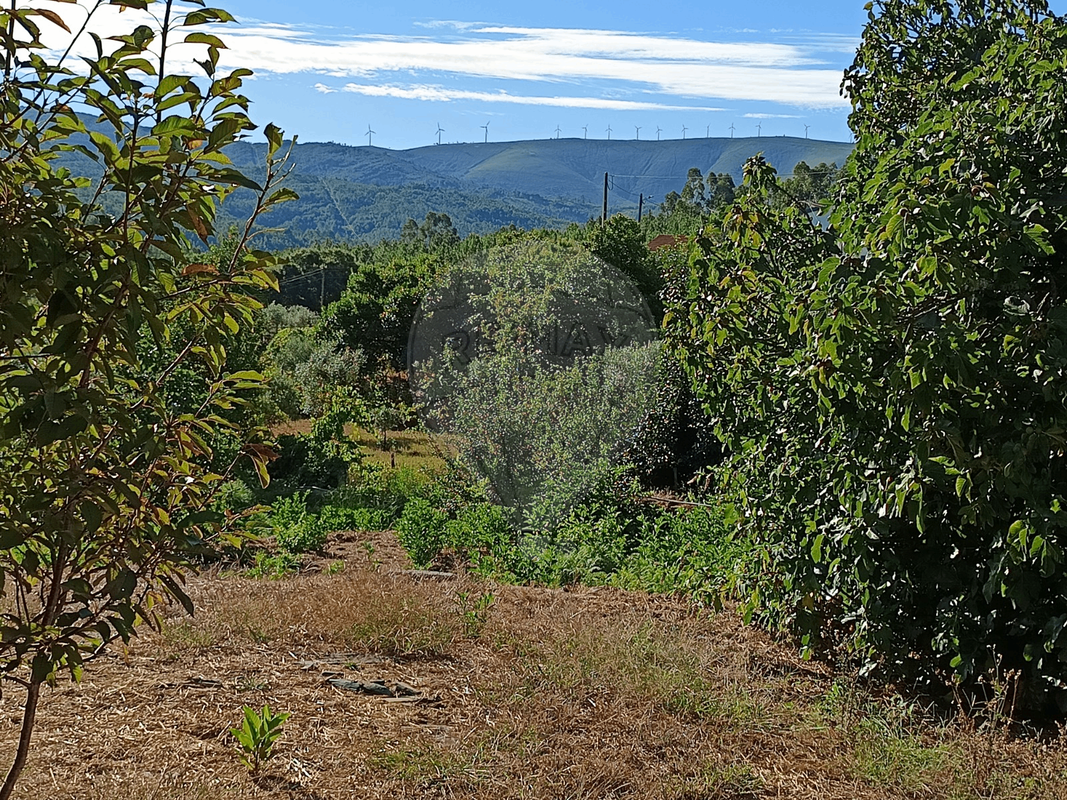 TODO