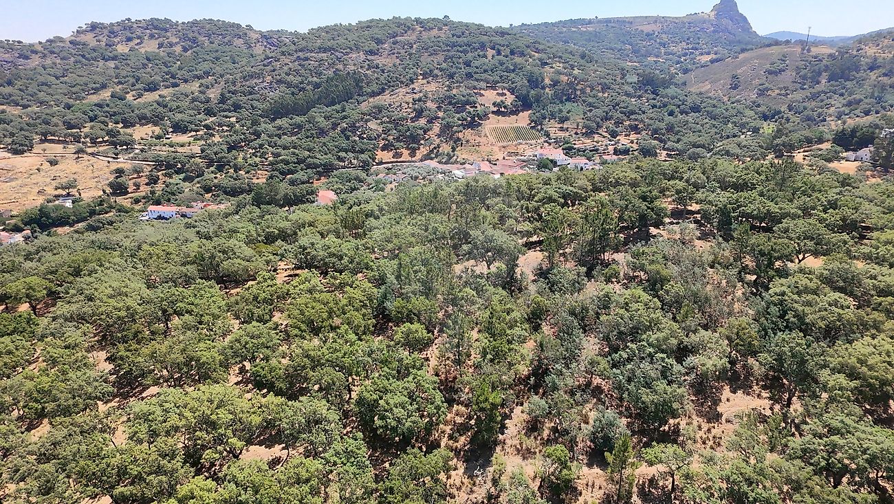 Terreno para venda