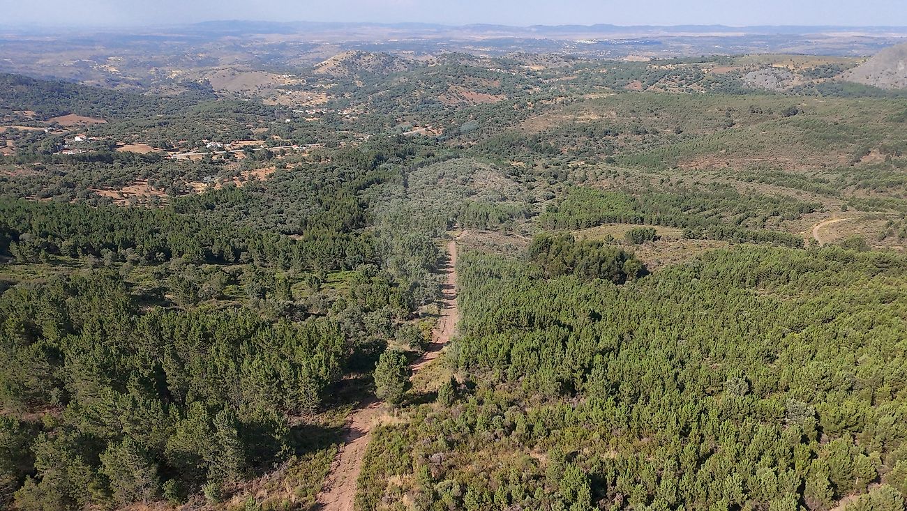 Terreno para venda