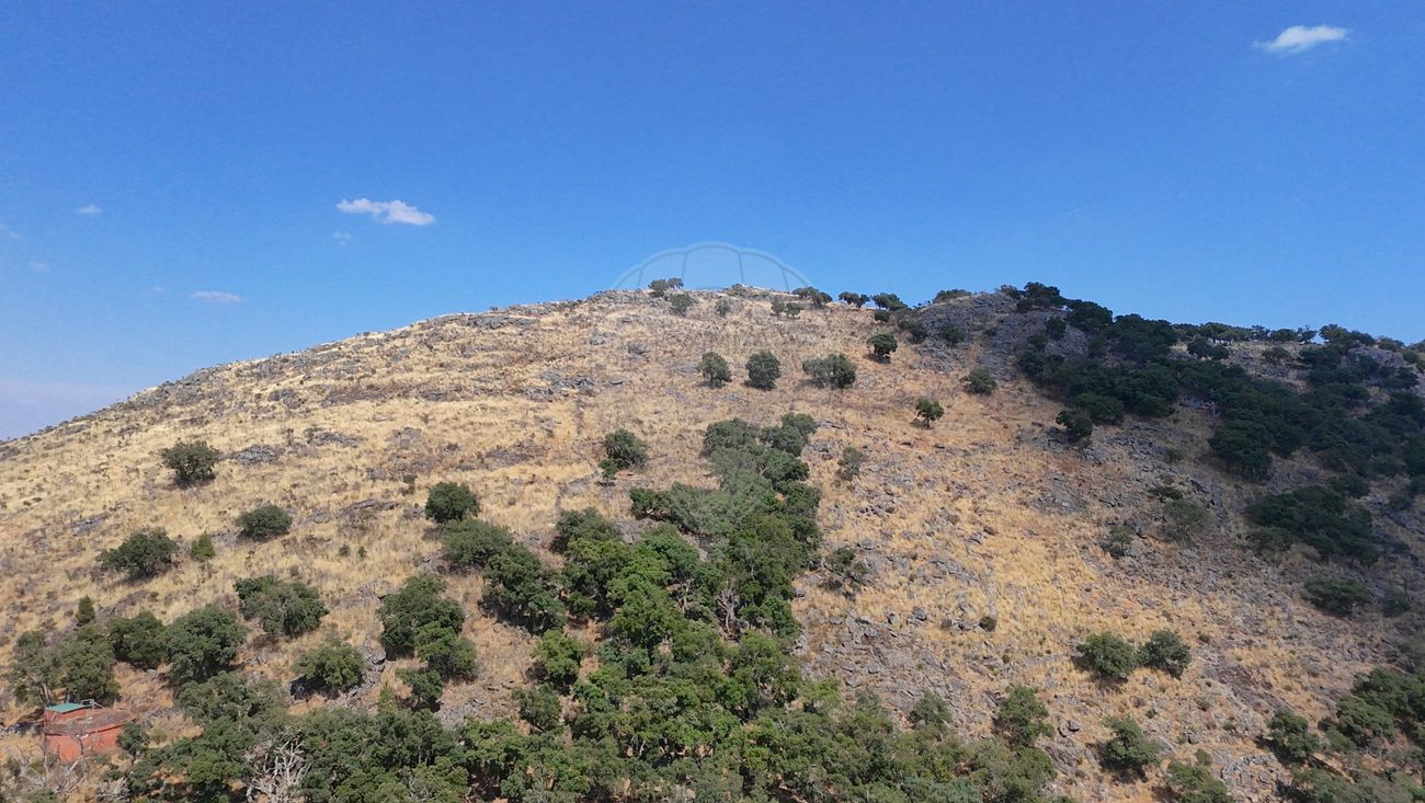 Terreno para venda