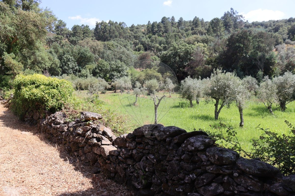 Terreno para venda
