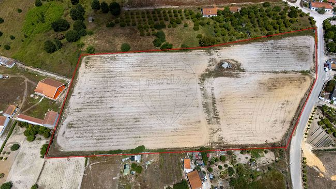 Terreno - Pontével, Cartaxo, Santarém
