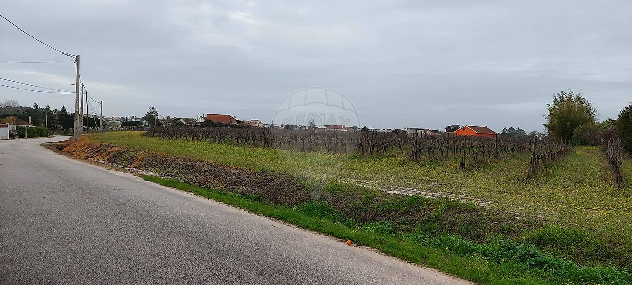 Terreno à venda em Cartaxo