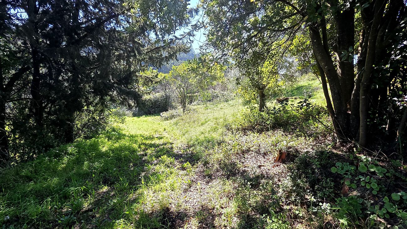 Moradia T2 à venda em Alcobertas, Rio Maior — foto 13
