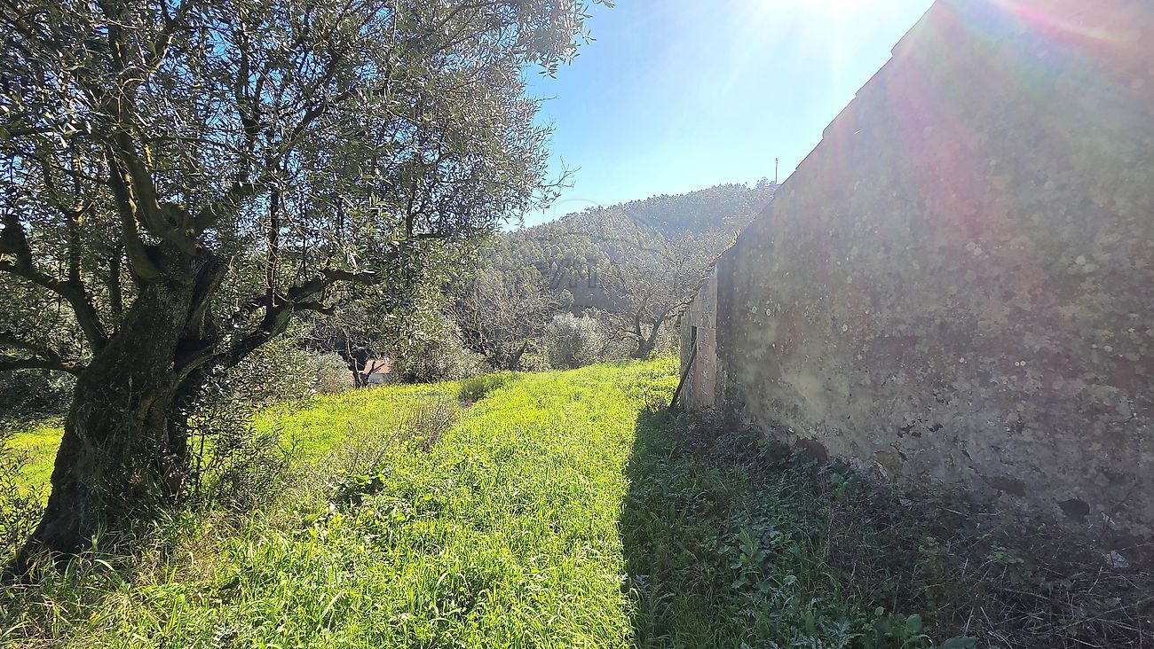 Moradia T2 à venda em Alcobertas, Rio Maior — foto 17