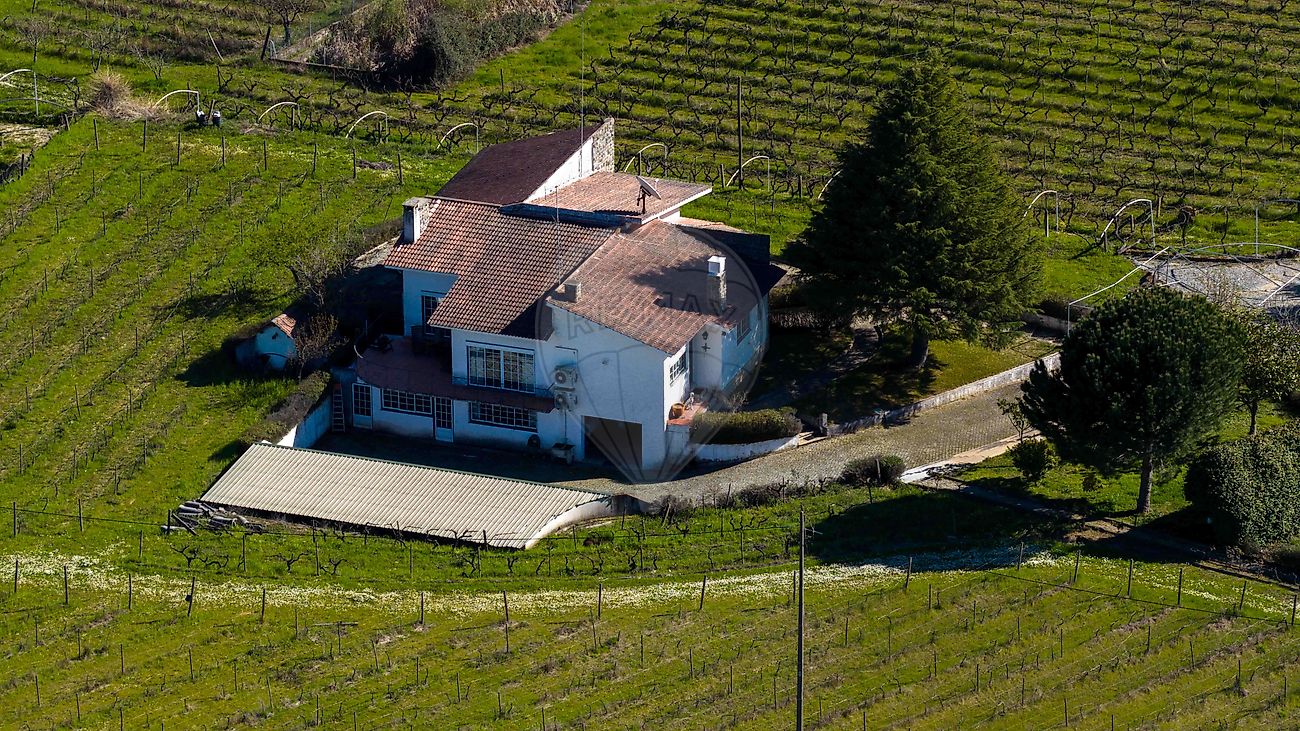 Quinta - Alcaria, Fundão, Castelo Branco