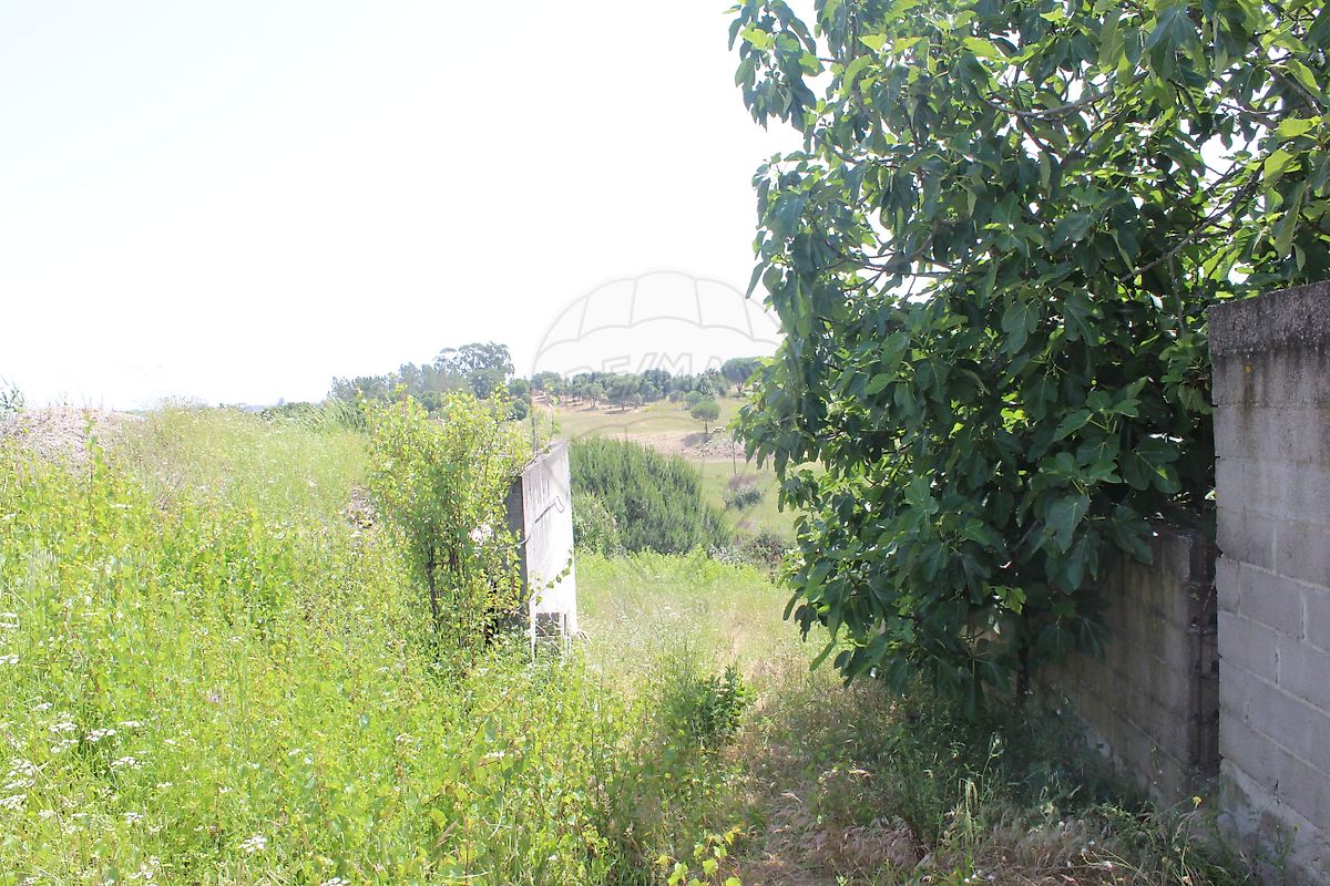 Terreno à venda em Azambuja