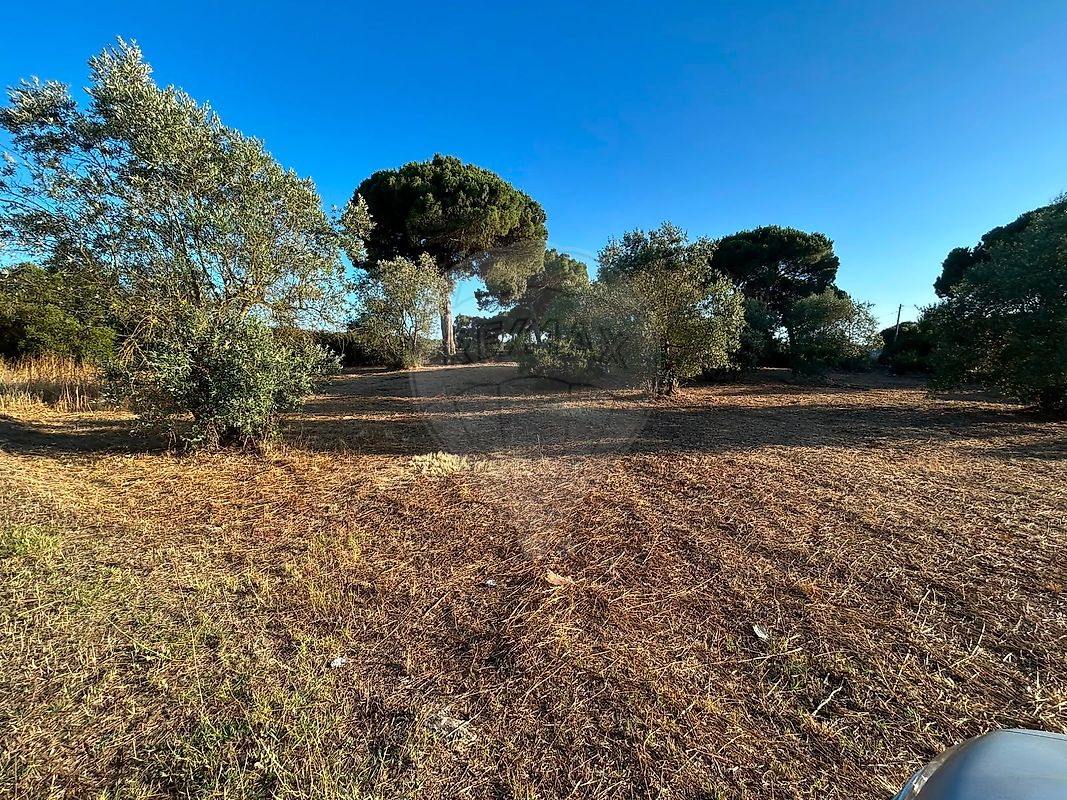 Terreno - Manique do Intendente, Vila Nova de São Pedro e Maçussa, Azambuja, Lisboa