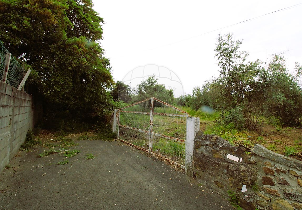 Terreno - Mação, Penhascoso e Aboboreira, Mação, Santarém
