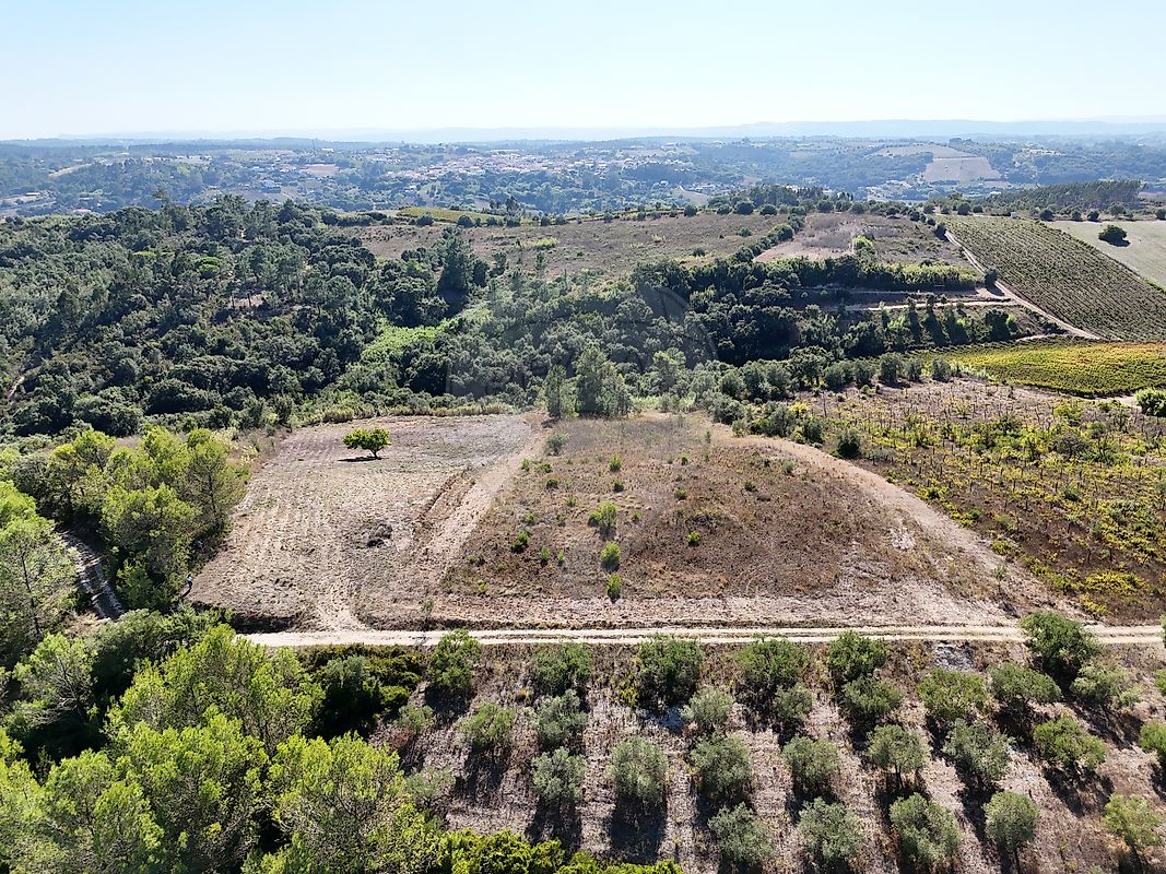 Terreno - Vale do Paraíso, Azambuja, Lisboa