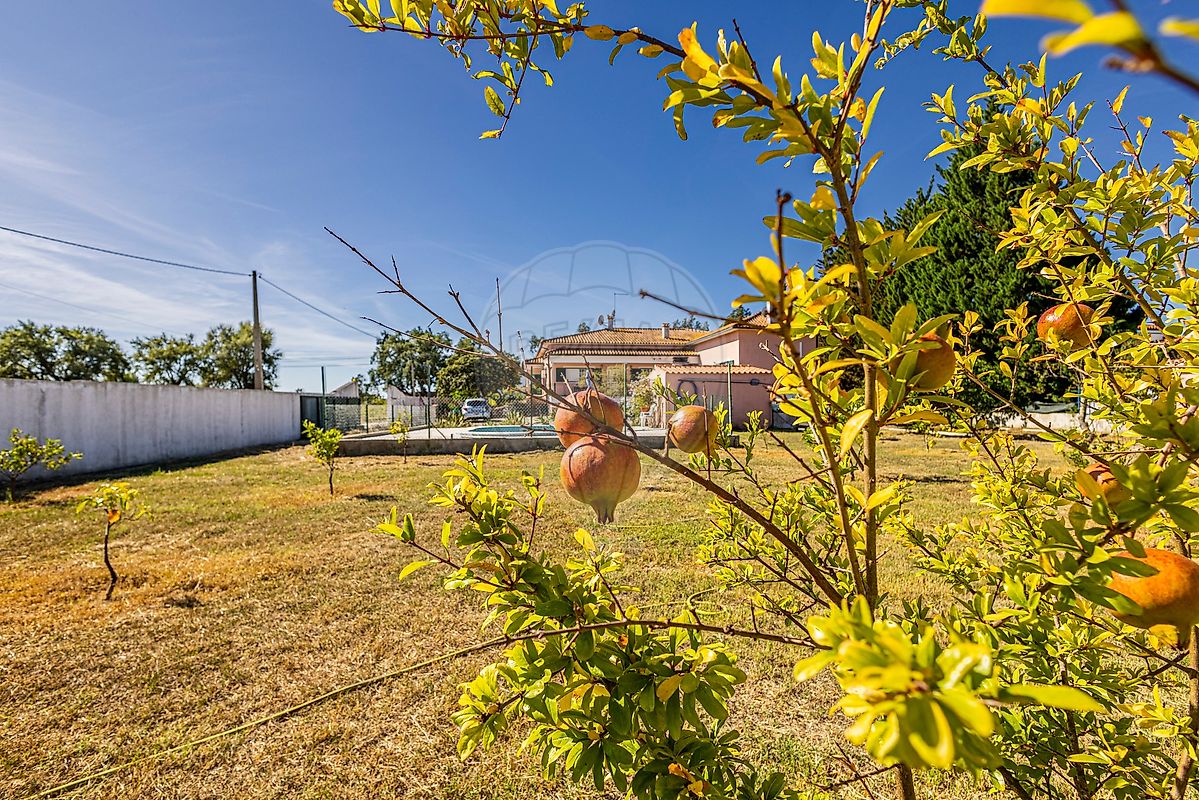 Moradia T4 à venda em Vale de Santarém, Santarém — foto 23