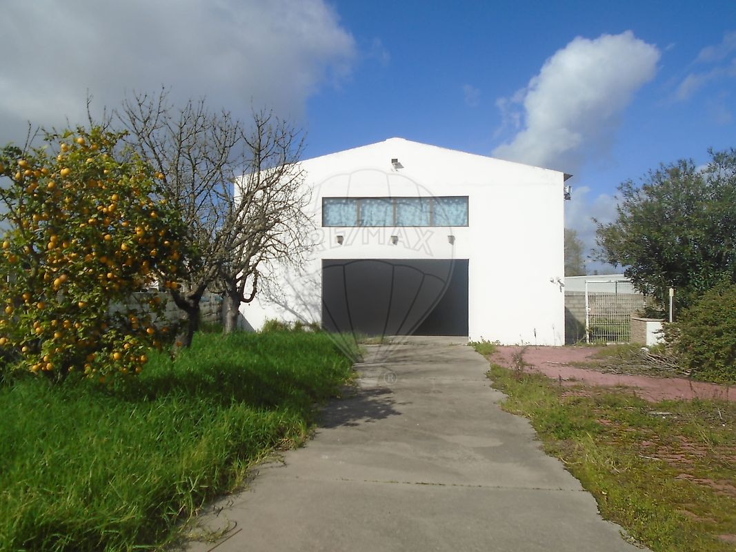 listing-picture-0