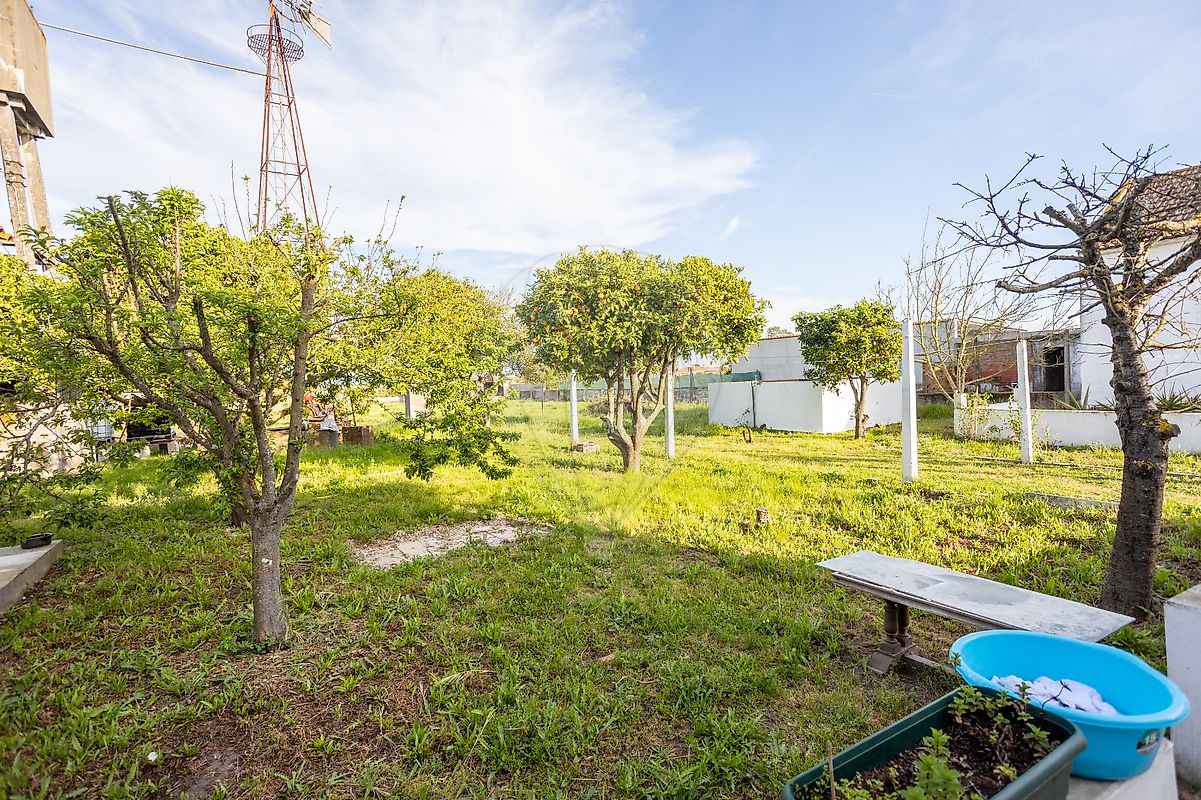 listing 125021889-1 picture-0