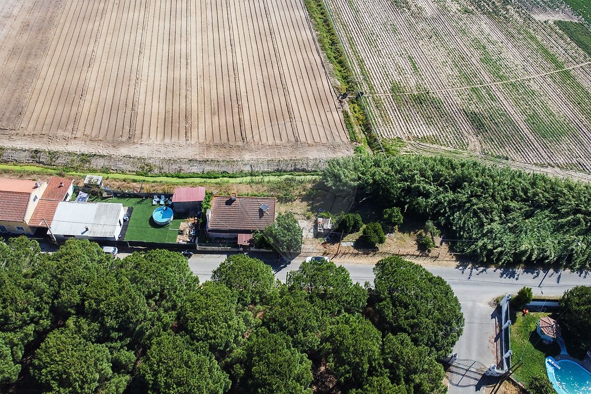 listing 125021889-12 picture-0