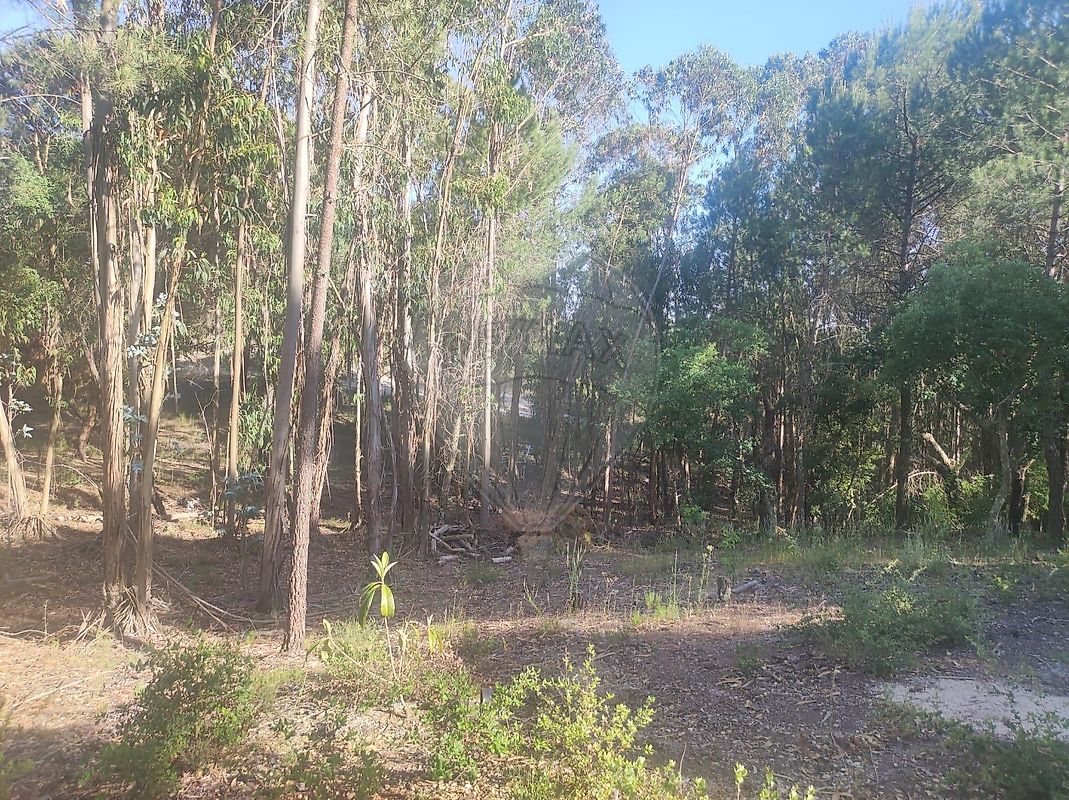 Terreno para venda