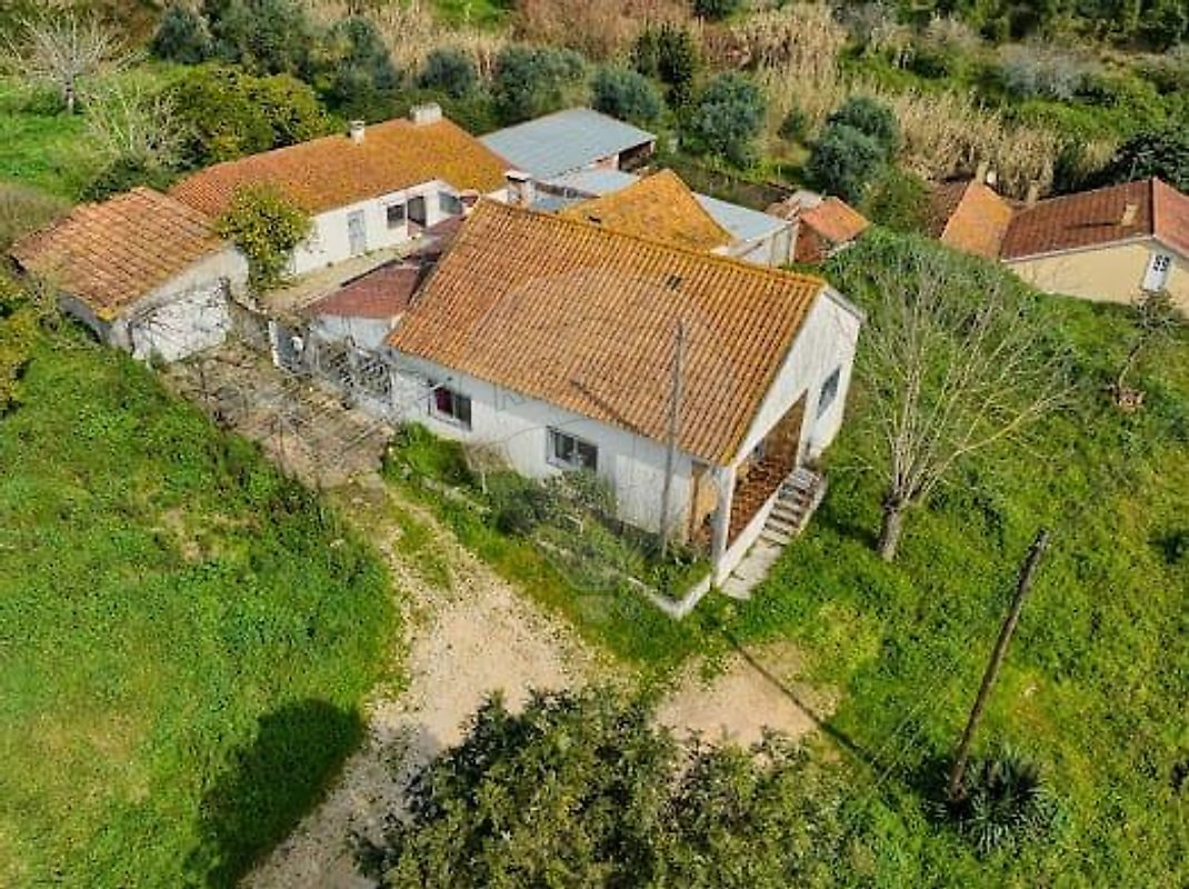 listing-picture-0