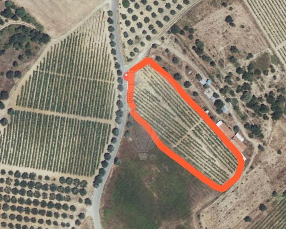 Terreno  à venda em Azambuja