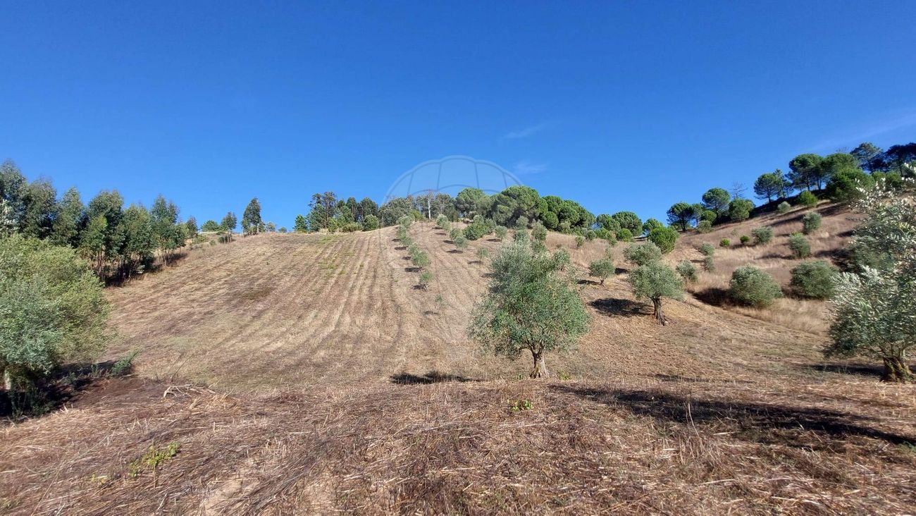Terreno  para venda