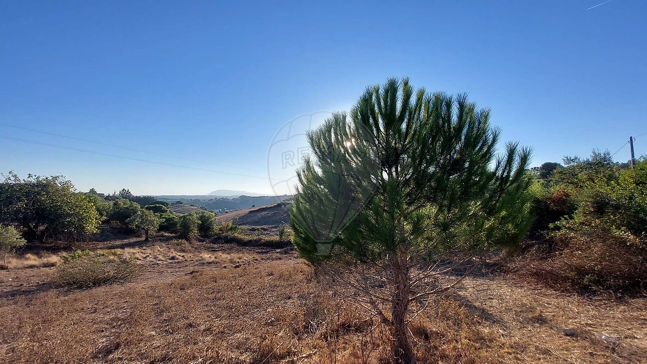 Terreno para venda